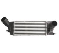 Turbocharger Thermotec DAC009TT for CITROËN PEUGEOT