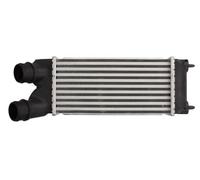 Turbocharger Thermotec DAC015TT for CITROËN PEUGEOT