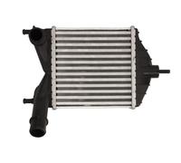 THERMOTEC DAF014TT Intercooler