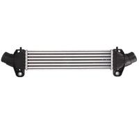 Turbocharger Thermotec DAG009TT for FORD