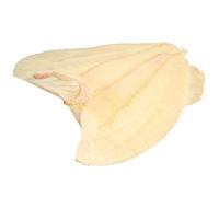 Turbot Fillets, Fresh, From a Whole 1-2kg Fish