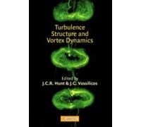 Turbulence Structure and Vortex Dynamics