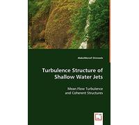 Turbulence Structure of Shallow Water Jets: Mean Flow Turbulence and Coherent Structures