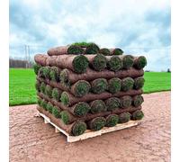 Turfworld Premium Signature Lawn Turf 10M²