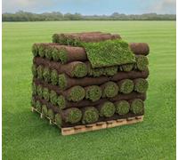 Turfworld Premium Signature Lawn Turf 30M²