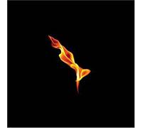 Turin Brakes - Dark On Fire