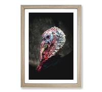 Turkey Bird Painting Framed Print | A2 Oak Framed Wall Art | Ready to Hang | Modern Animal Picture | Living Room Bedroom Lounge Office