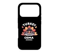 Turkey Coma Incoming! Thanksgiving Celebration Food Holiday Case for iPhone 17 Pro