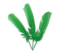 Turkey Feather Green, Pack of 3