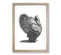 Turkey in Black & White by Johan Teyler Framed Print | A2 Oak Framed Wall Art | Ready to Hang | Modern Animal Picture | Living Room Bedroom Lounge Office
