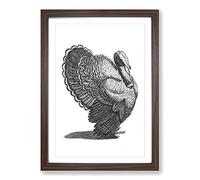 Turkey in Black & White by Johan Teyler Framed Print | A2 Walnut Framed Wall Art | Ready to Hang | Modern Animal Picture | Living Room Bedroom Lounge Office