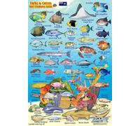 Turks & Caicos Coral Reef Creatures Guide Franko Maps Laminated Fish Card 4"x6"