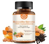 Turmeric Curcumin Supplement with Boswellia Serrata, Ginger Root, Turmeric Powder & Bioperine for Max Absorption - 95% Curcuminoids Turmeric Supplement - 120 Tumeric Boswellia Extract Capsules