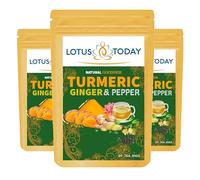 Turmeric Tea Bags with Ginger And Black Pepper 20 Tea bags Per Pack Curcumin Herbal Tea (Pack of 3)