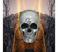 Ulrich Schnauss & Mark Peters - Destiny Waiving (LP) [VINYL]