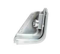 Turn Signal In Right Side Mirror (Transparent) Fits: MERCEDES SPRINTER 906, V
