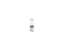Pure/Lt H21 12v 21w Bay9s Trade Pk fits PEUGEOT Bosch Genuine Quality Product