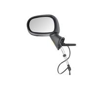 Turn signals BLIC 5402-04-1125179P for RENAULT