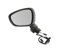Turn signals BLIC 5402-21-039365P for CITROËN