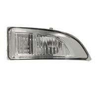 Turn signals BLIC 5403-09-052106P for RENAULT