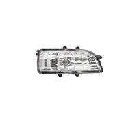 BLIC 5403-24-022106P Side indicator