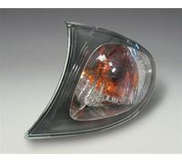 Turn signals Magneti Marelli 715010723905 for BMW