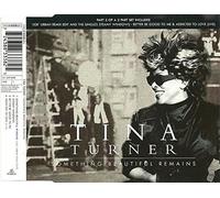 Turner Tina - Something Beautiful Remains