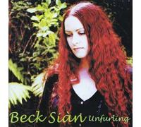 Turning It Down Since 2001 by Noxagt (2003-05-20)