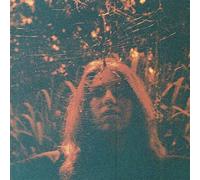 Turnover - Peripheral Vision (10th Anniv Citrus LP) [VINYL]