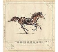 Turnpike Troubadours - A Long Way From Your Heart [VINYL]