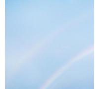 Turnstile - NEVER ENOUGH [VINYL]