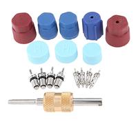 Turodeuo 17Pcs Air Conditioning Valve Core Kit Valve Cores Accessories A/C R12 R134A Refrigeration Valve Stem Core Remover Tool