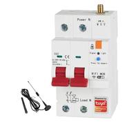Turodeuo Tuya Smart WiFi RS485 2P 63A MCB Breaker Prepaid Meter Timer Switch Voltage Current Protector Voice Control Easy Install Easy to Use
