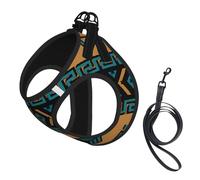 Turquoise and Tan Southwest Tribal Aztec Pattern No Pull Dog Harness and Leash Set, Cute Reflective Adjustable Vest for Small Dogs,Breathable Mesh Puppy Harness for Walking Hiking,Medium