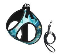 Turquoise Blue Gold Marble Print Small Dog Harness And Leash Set, Adjustable Soft Vest With 360° Reflective Straps For Cats Puppy
