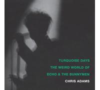 Turquoise Days: The Weird World of Echo and the Bunnymen