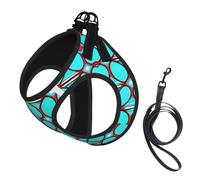 Turquoise Pattern Printing Dog Summer Harness With Leash Set,Adjustable And Reflective Step-In Puppy Pet Vest Harnesses
