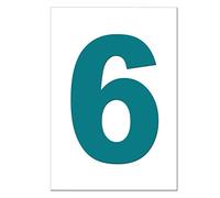 Turquoise Wheelie Bin Number 6 - Self Adhesive Waterproof Durable Vinyl Stickers - Digitally Cut to The Sticker Shape - Size 170mm by PARTY DECOR (6)