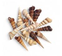 Turritella Screw Shells - 100g - Natural Pointy Unicorn Seashells, Craft & Decor Auger Sea Shells, 6-8cm Beach Shells, for Coastal Decor, Beach Theme Art Projects, Seashore Play, Unicorn Party