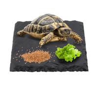 Turtle Basking Platform, Tortoise Bathing Rest Platform 10x10cm Reptile Slate Pad Habitat Slate Feeding Food Bowl Dish Plate Natural Rock Platform Accessories Decoration for Lizards Geckos Snakes
