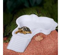 Turtle Bath Tub - 13.78 x 11.22 x 1.69 Inch ABS Reptile Water Pond Pool | Robust Turtle Bath Box Made of with Ramp | Turtle Tank - Aquarium Terrarium Lifera
