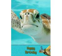 Turtle Birthday Card