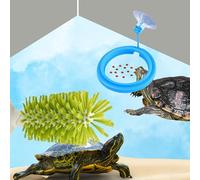 Turtle Brush with Suction Cup and Feeding Ring, Tortoise Shell Brush and Tortoise Feeder, Aquarium Toys for Turtles, Turtle Tank Accessories, Aquarium Toy, Fish Aquarium Accessories (Green)