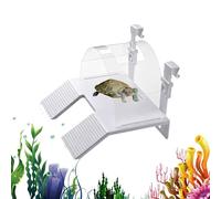 Turtle Docks for Basking Double Ladder Salamander Resting