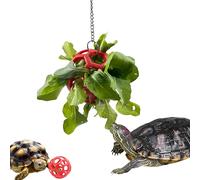 Turtle Feeder Ball with Chain, Hanging Tortoise Treat Ball, Turtle Enrichment Toys, Foraging Food Toy for Small Pet Rabbit Bunny Guinea Pig, Tortoise Accessories (Red Ball)