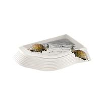 Turtle Feeding Bowl - 27 cm Large Reptile Feeding Bowl, Terrarium Water Plate, Multifunctional Design with Non-Slip Base and Sturdy Edge Support | Reptile Feeding Bowl for Use as What