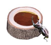 Turtle Food Dish Reptile Water Bowl, Portable Wooden Design Aquarium Decoration, The Pet with a Smooth Exterior, Amphibian Habitat Accessories for Turtle Beard Dragon