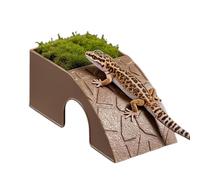 Turtle Food Water Bowls, Reptile Decorative Shelter, Automatic Dish Ornament Design for Bearded Dragon Horned Frogs Spiders Geckos Shrimp, Leopard School Events Party Holiday, Pet Tools for Hobby Use