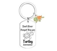 Turtle Gifts Sea Turtle Gifts for Women Turtle Keyring for Turtle Lovers Gifts Cute Stuff Turtle Charms Cool Turtle Inspirational Keyring Birthday Gifts Encouragement Gift for Family Friends