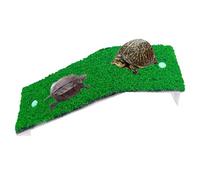 Turtle Jaw - Turtle Resting Jaw with Lawn, Rength Her Physique Lawn Turtle Climbing Ladder Turtle Resting Patio for Reptile Frog Terrapin